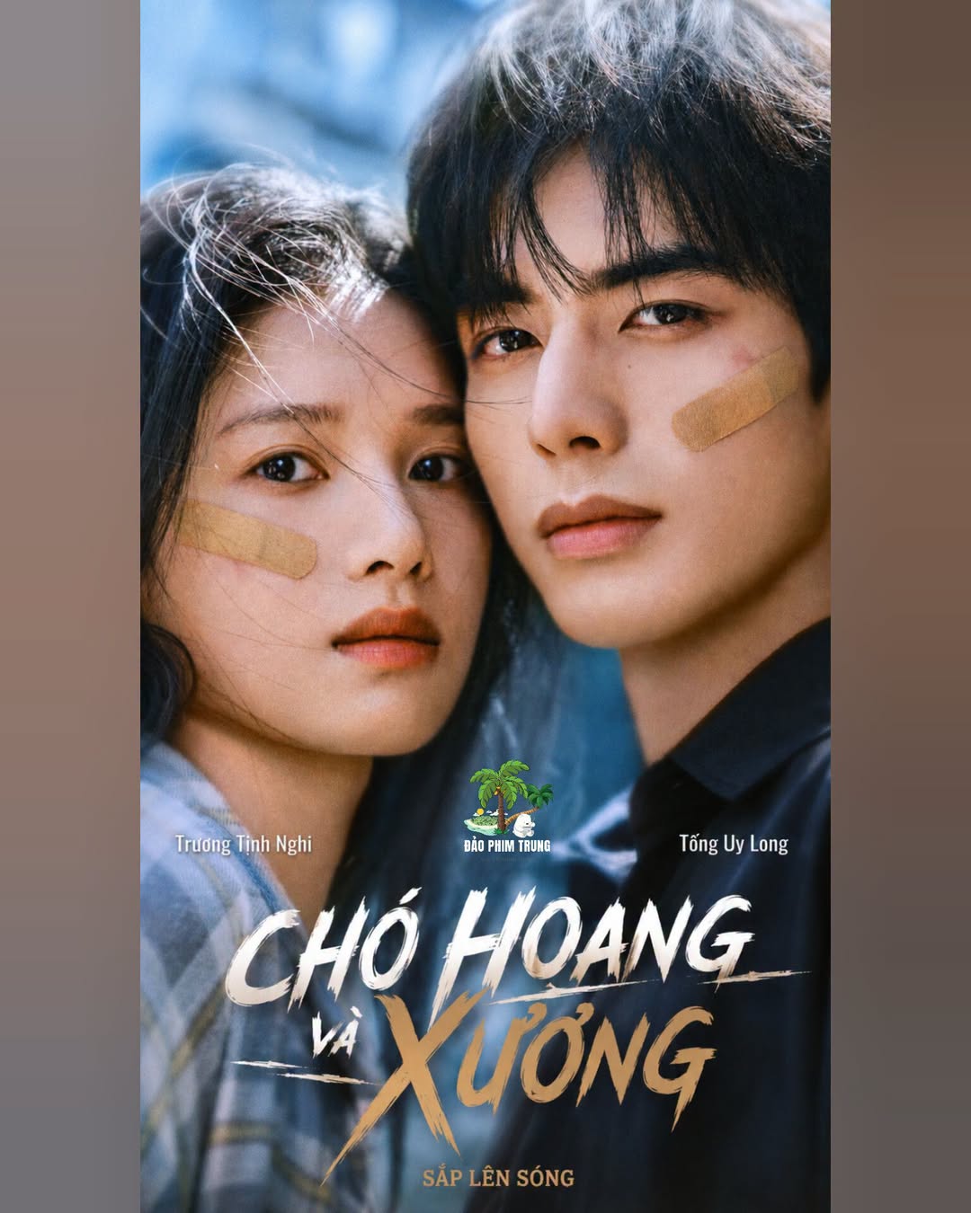 Poster phim “Chó Hoang và Xương”